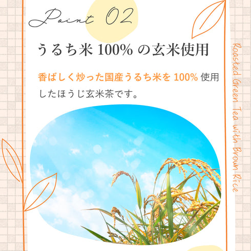 炒糙米茶包 2g×100p